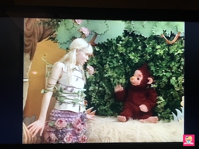 abcDVDボックスDVDその6